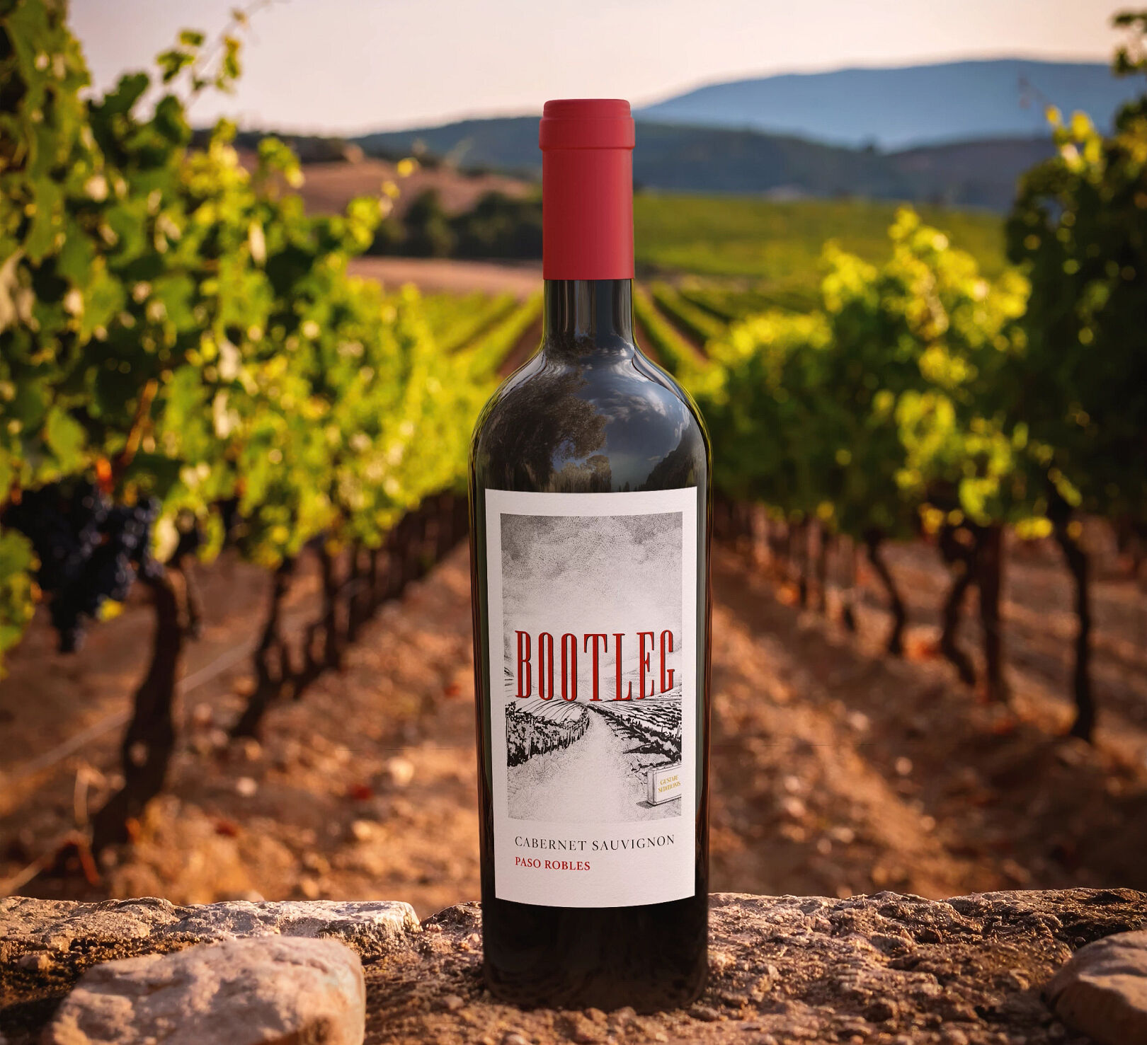 Bootleg wine bottle in a vineyard